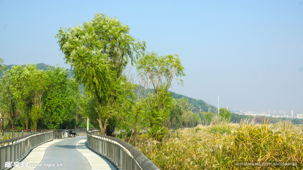 江畔风景