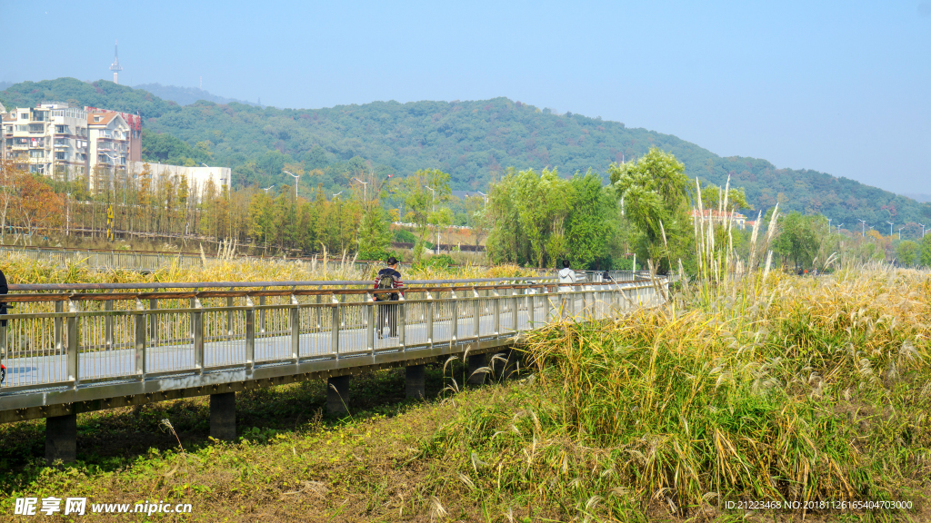 江畔风景