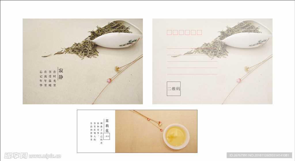明信片茉莉花