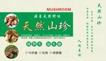 牛肝菌松茸