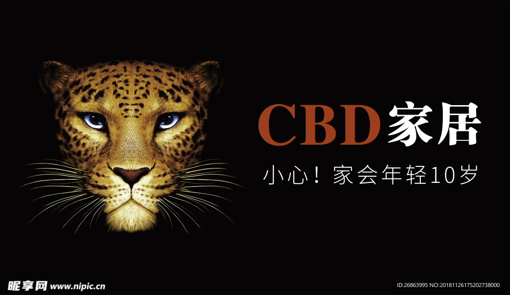 CBD家居