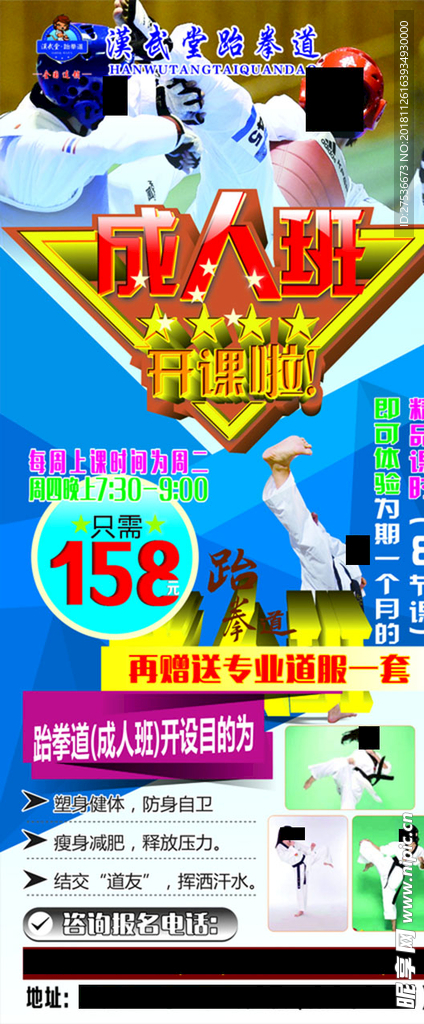 成人跆拳道展架海报