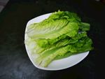 生菜