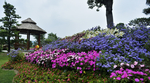 花园美景