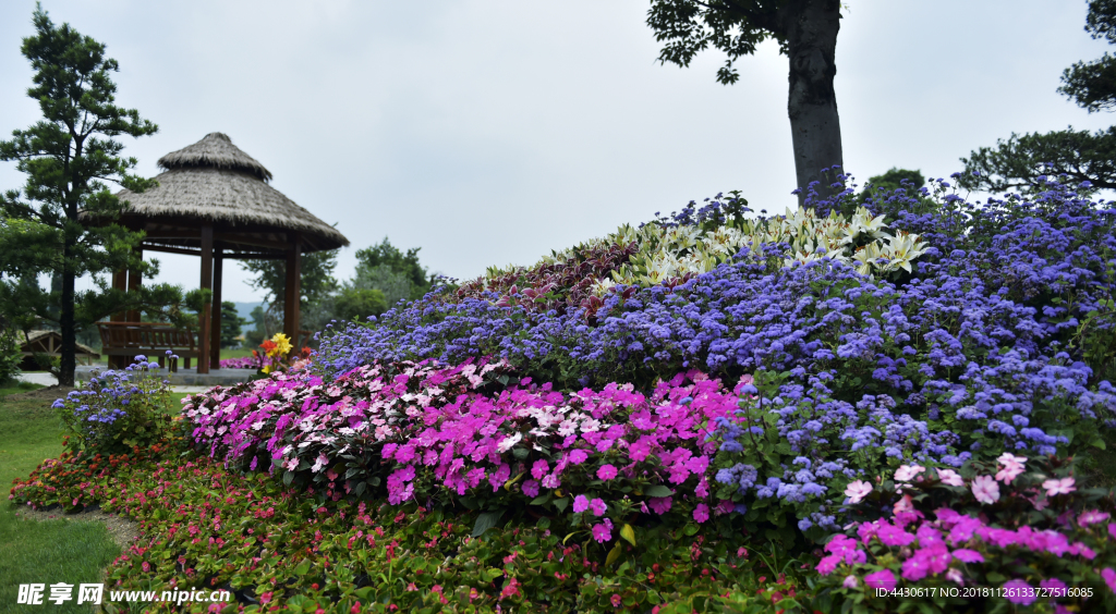 花园美景