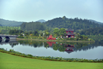 爱情岛23