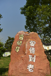爱情岛9