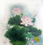 吴玉阳工笔画重彩画荷花蜻蜓