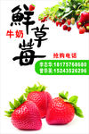 草莓广告