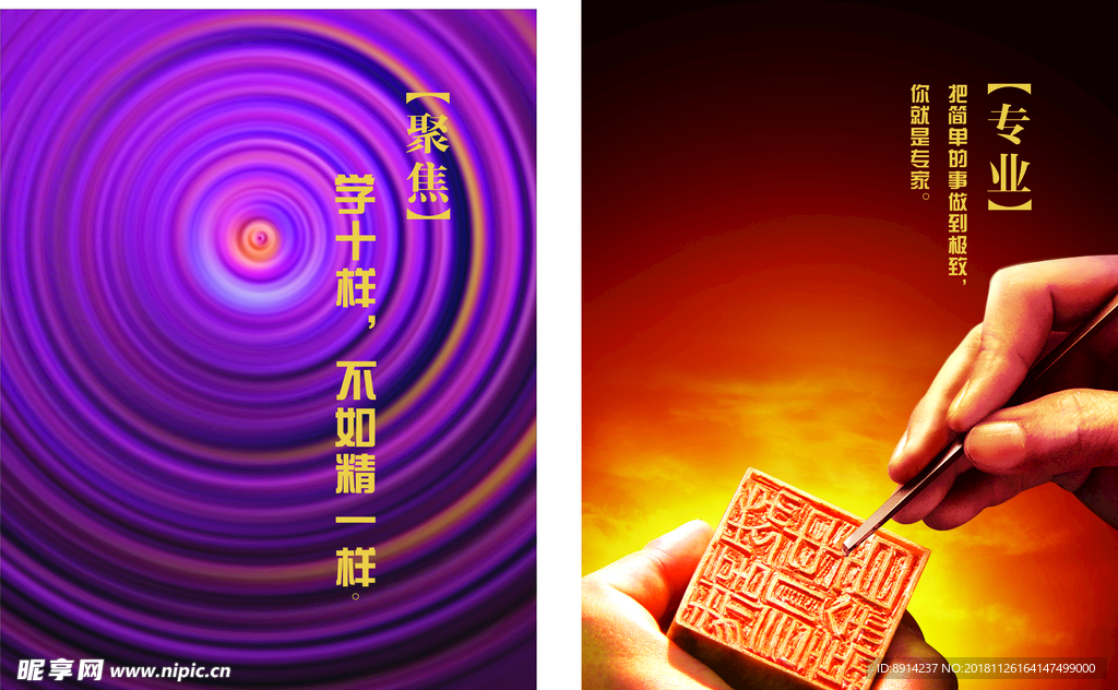 聚焦专业