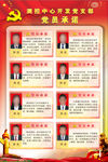 党员承诺