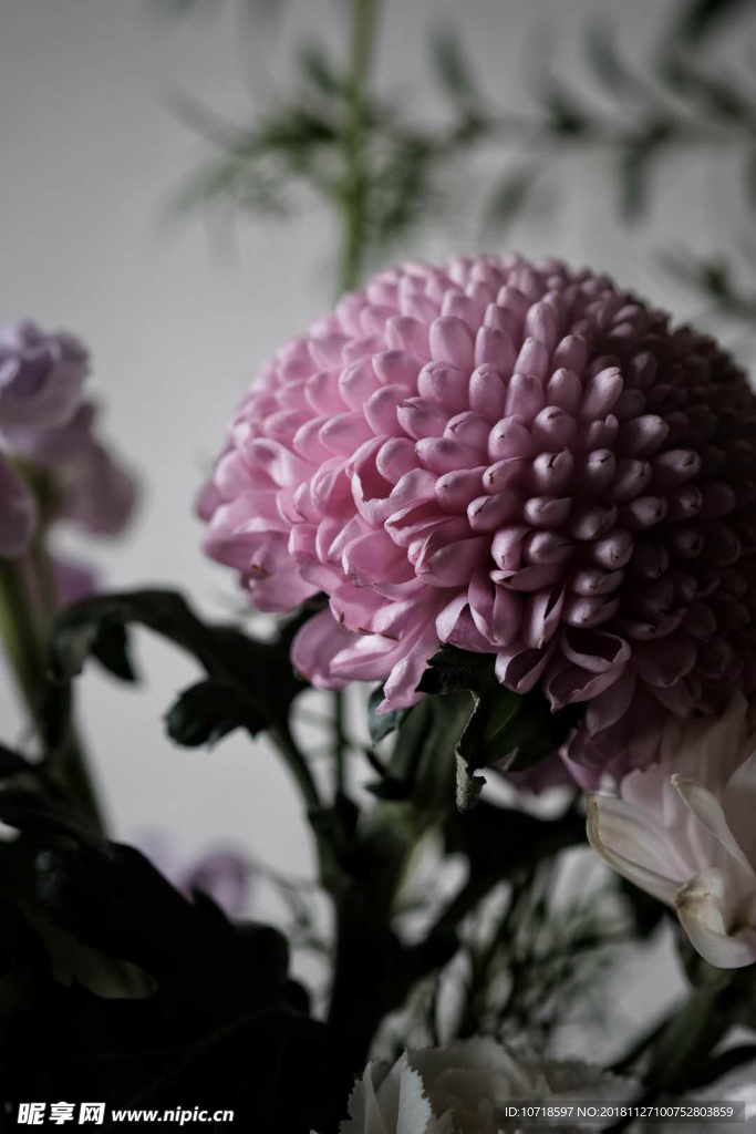 艺术摄影