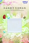 玉堂春富贵 花香蝶自来