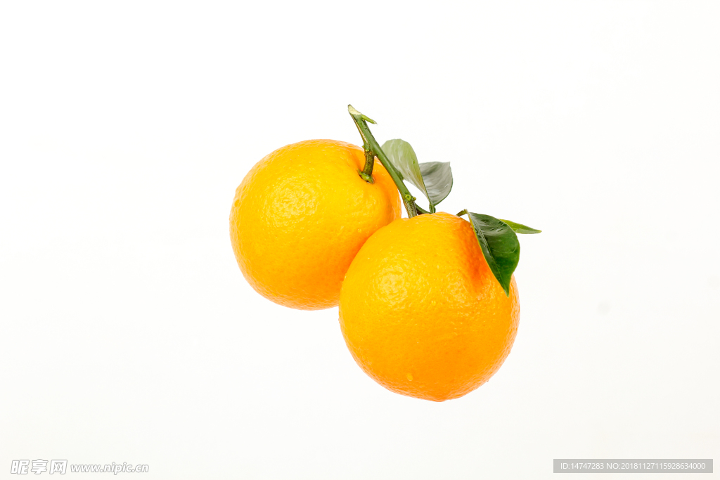 脐橙