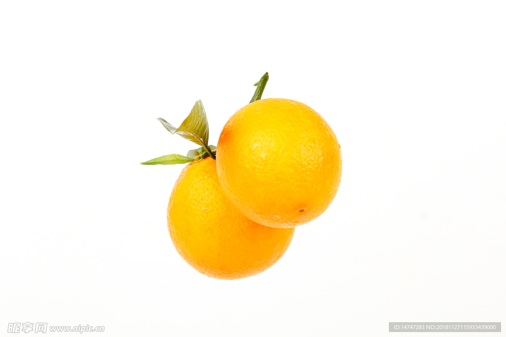 脐橙
