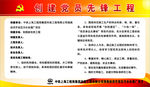 党员先锋工程