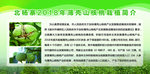 绿色背景简介牌
