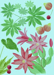 手绘花卉底纹