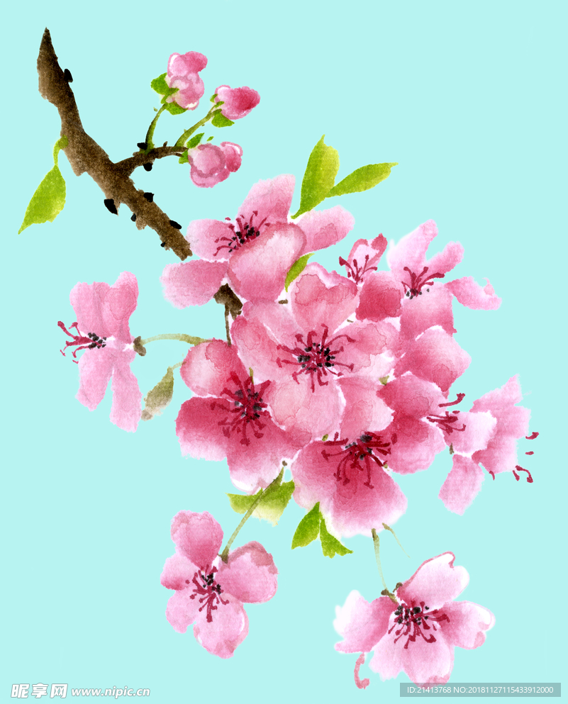 手绘花卉素材