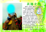 旅游小报