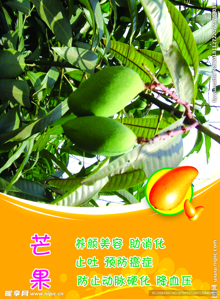 芒果水果海报素材