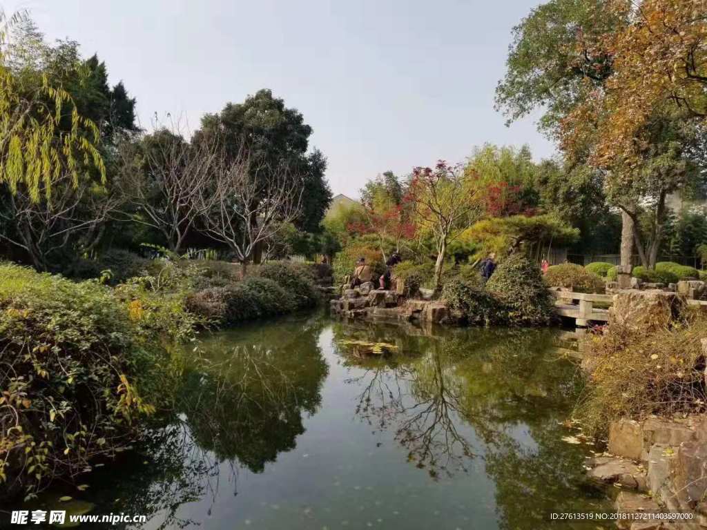 绿树水塘风景图片