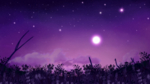 紫色星空背景