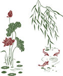 荷花