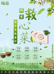 婉慈救心菜复合粉