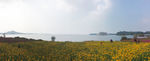 沙河