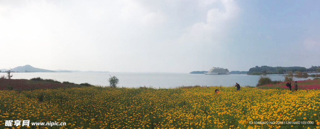 沙河