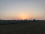 农村夕阳