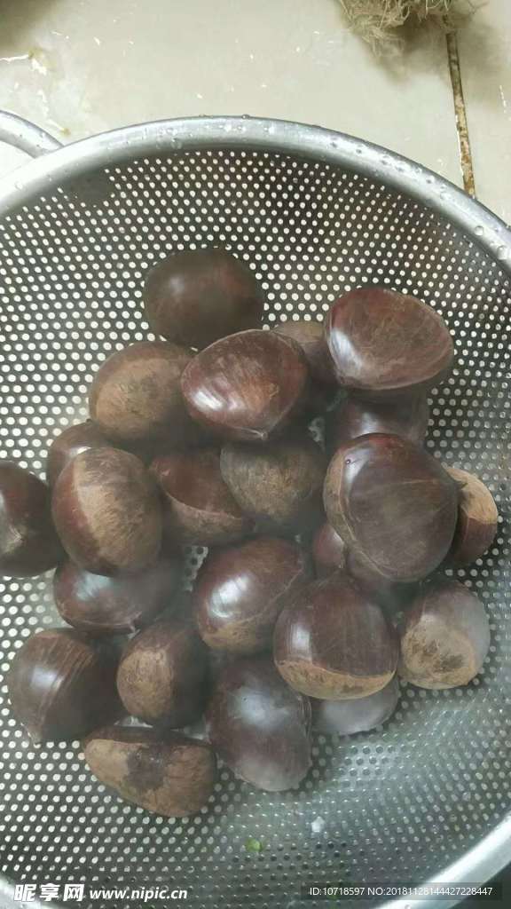 板栗