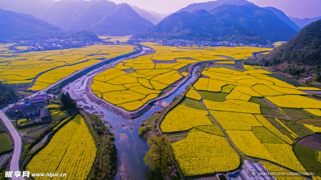 航拍高路亭花海