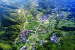 库山梯田风光