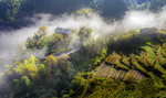山地风光