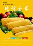 烤玉米海报