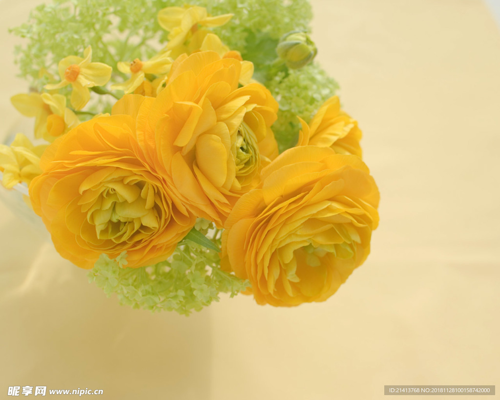 鲜花花朵花卉