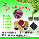 红薯