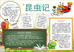 学习小报