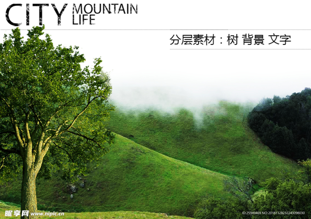 自媒体网页专用分层树木绿色美景