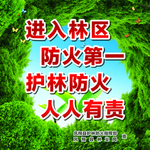 森林防火  背景