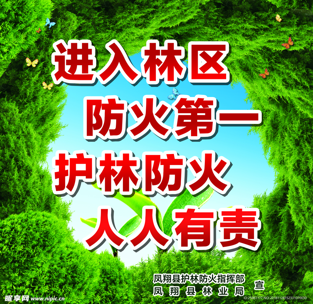 森林防火  背景
