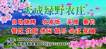 天然农庄 海报 贴画