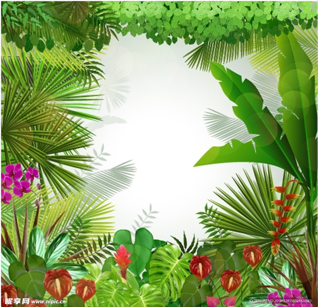 热带植物矢量