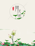 荷花韵