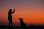 人和狗夕阳下