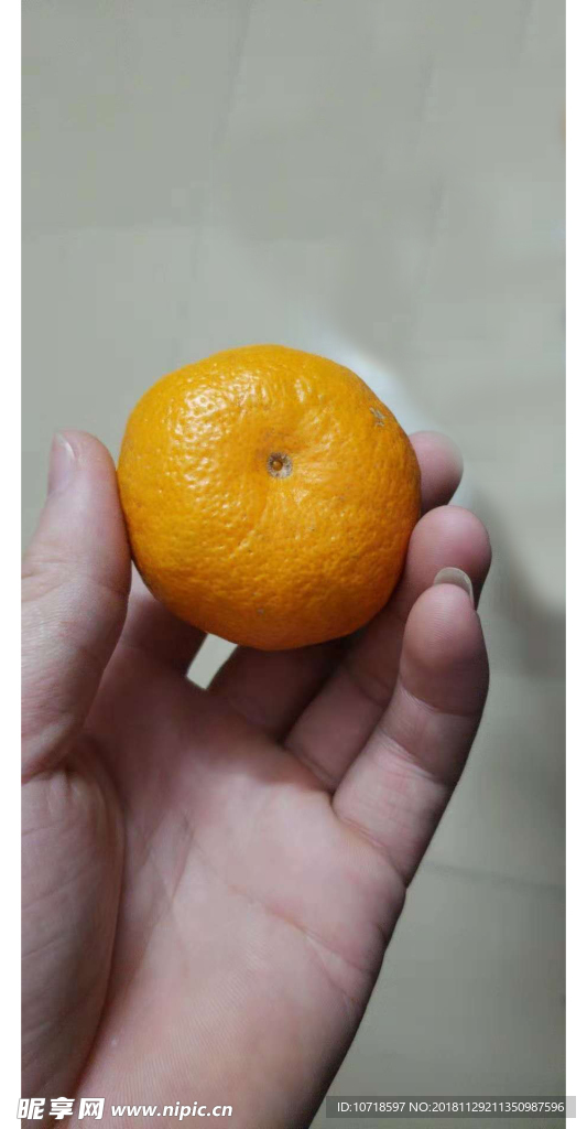 橙子 水果