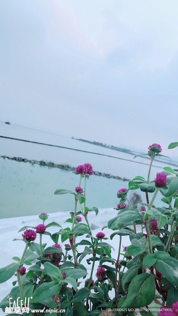 花