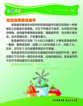 危情选择紧急避孕